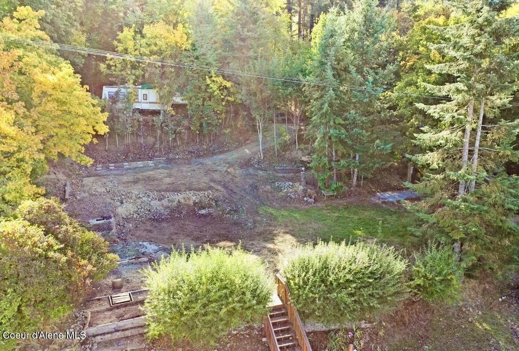 Picture 8