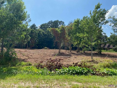 Light Commercial Land Lot