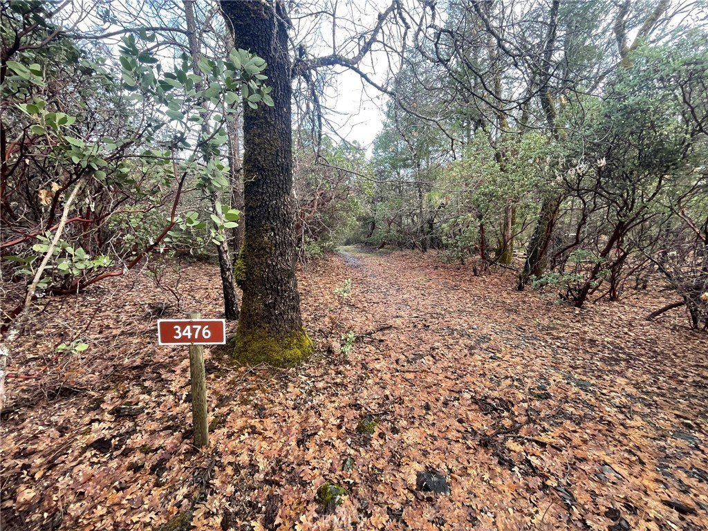 Lake Pillsbury Ranch Land Parcel