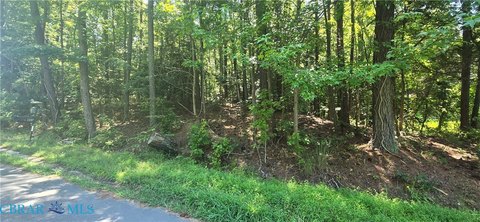 LAND - Montross, VA