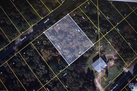 LAND - LAKEVIEW, AL