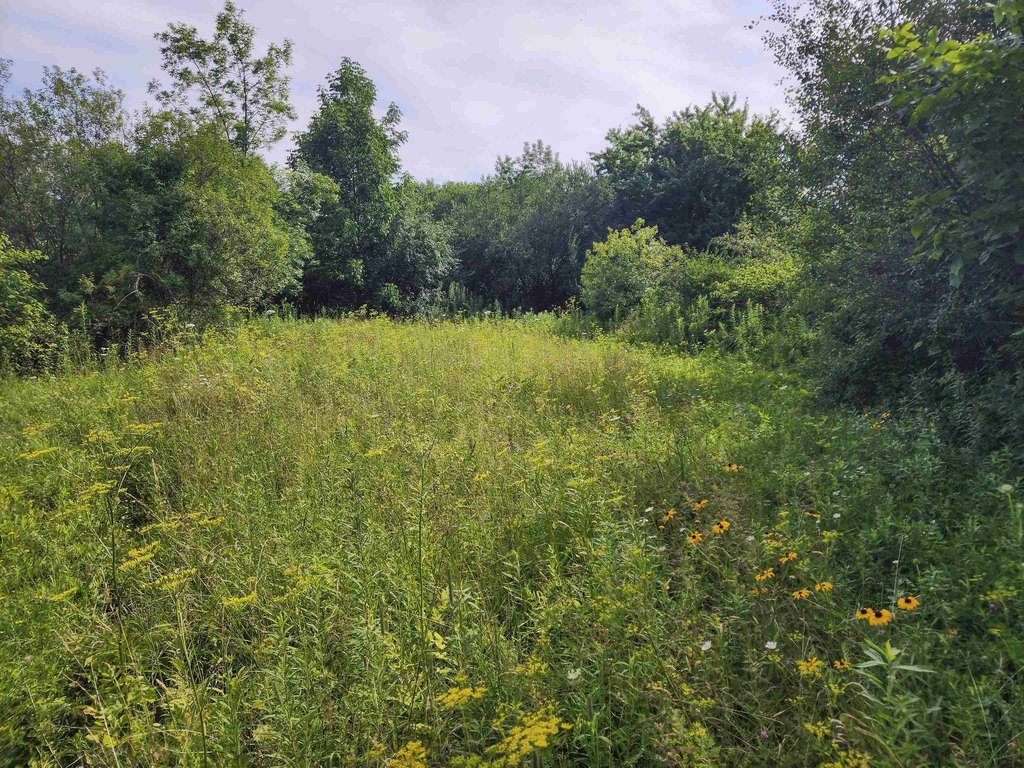Picture 28
