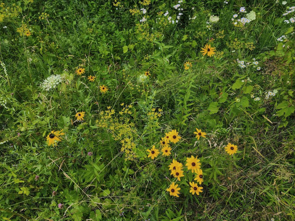 Picture 30
