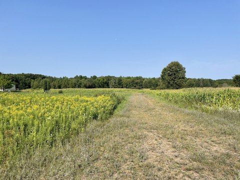 Cadott, WI Land For Sale