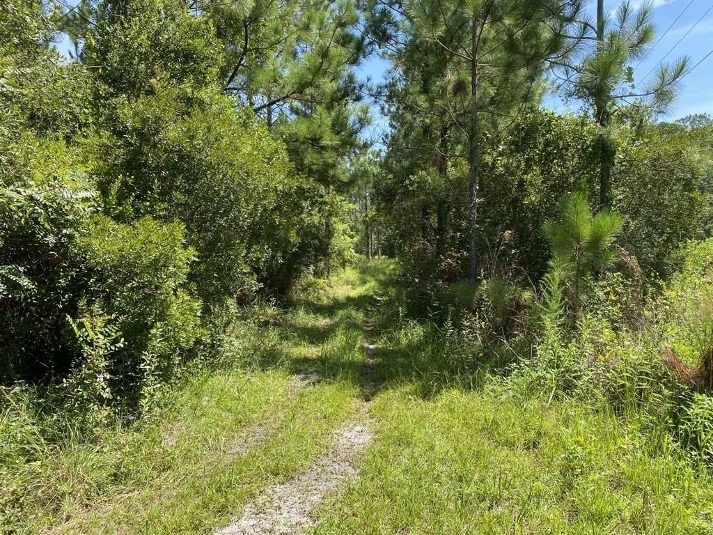 Expansive Corner Lot in Palatka