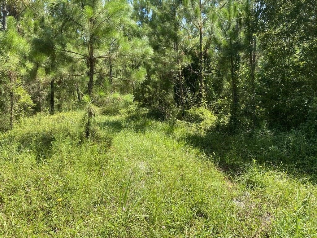 Picture 12
