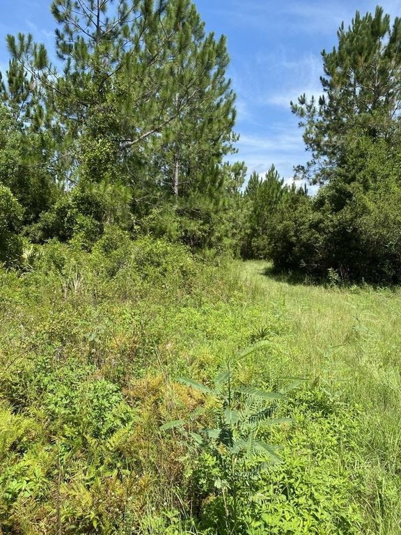 Picture 6