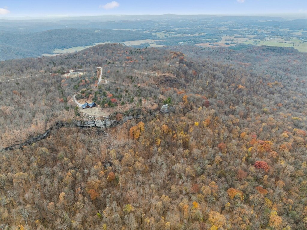 Picture 21