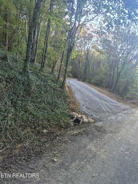 Lots & Acreage, Tellico Plains, TN
