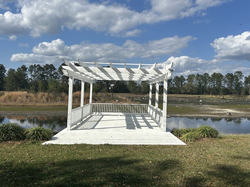 Picture 23