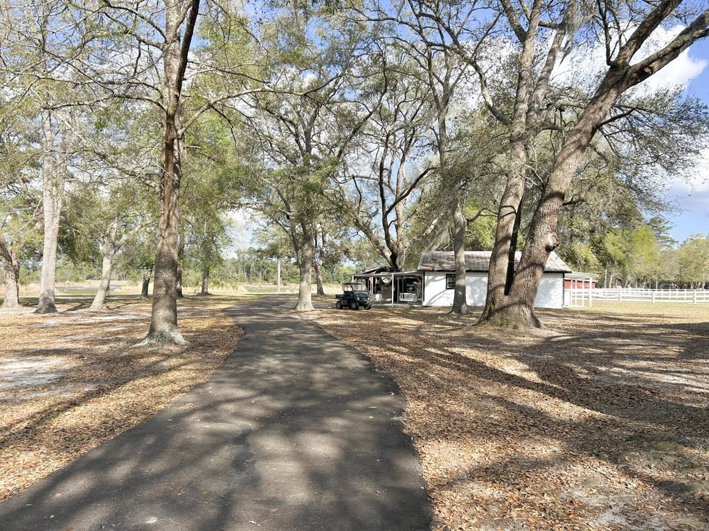 Picture 24