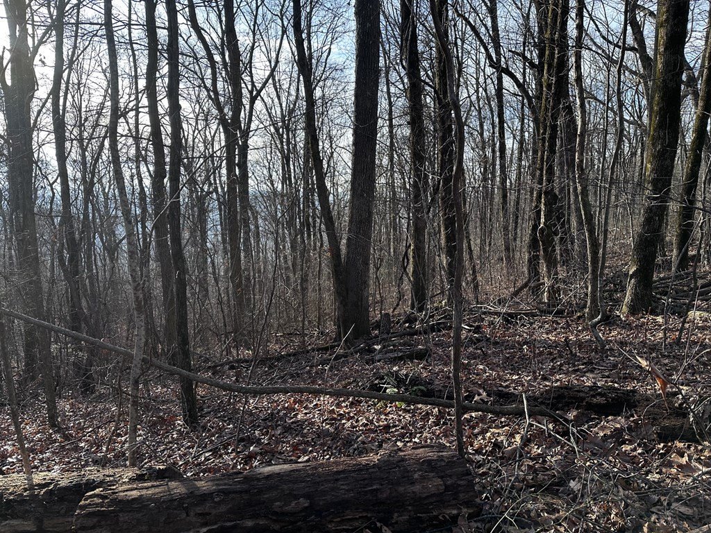 Picture 14