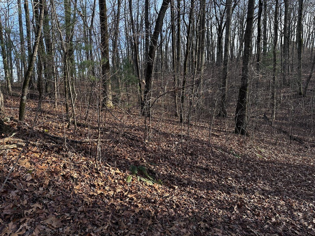 Picture 17
