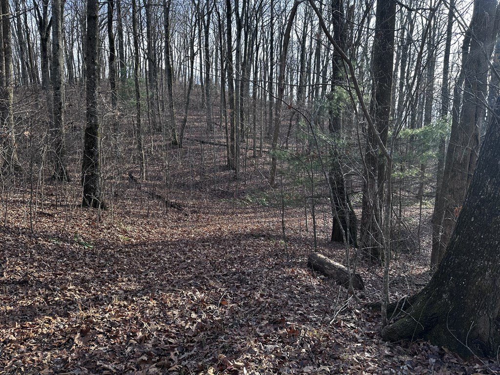 Picture 16