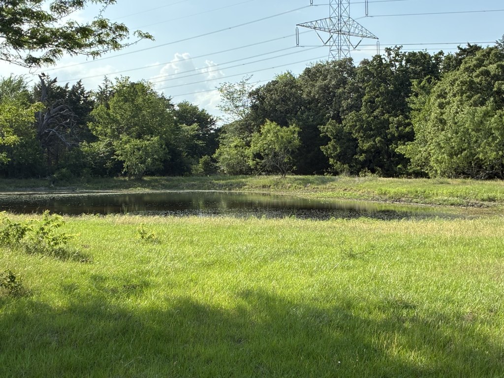 Picture 3