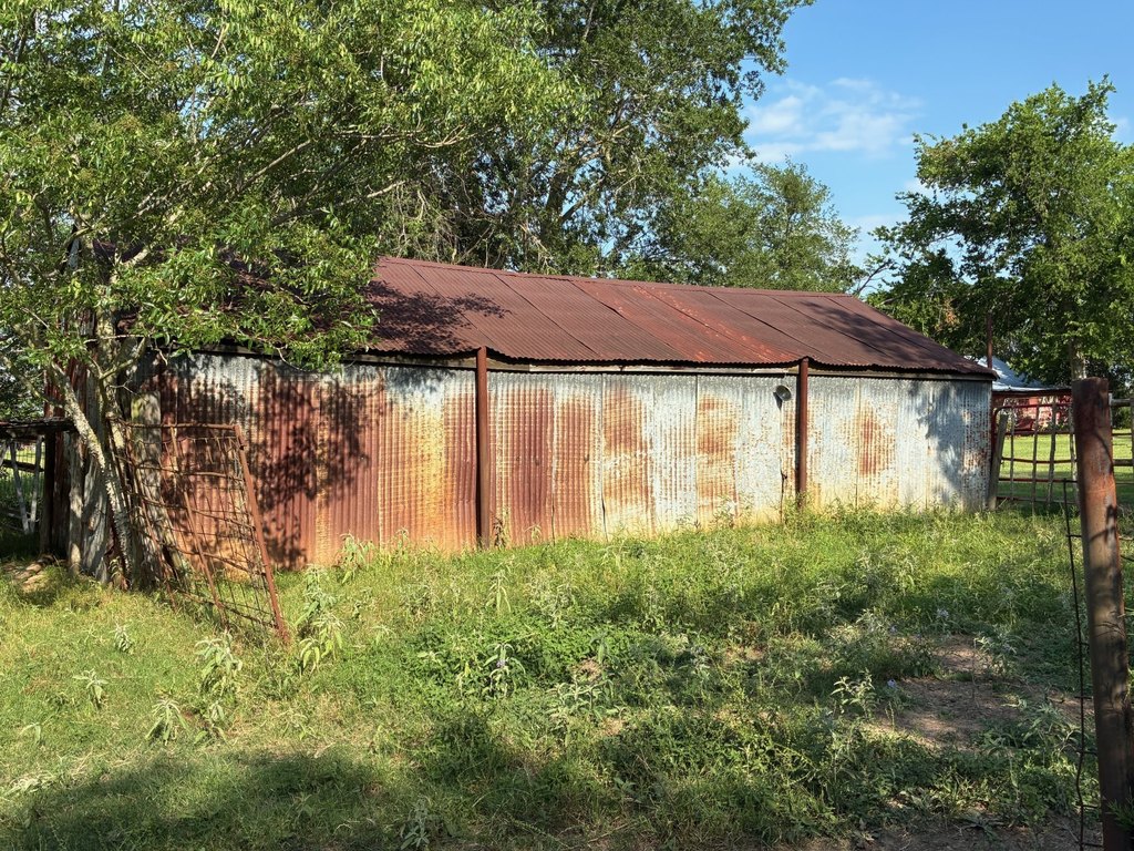 Picture 4