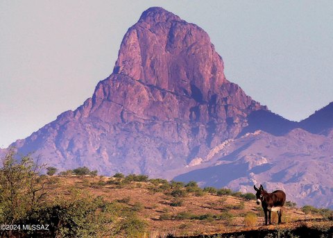 Arivaca Land with Panoramic Views