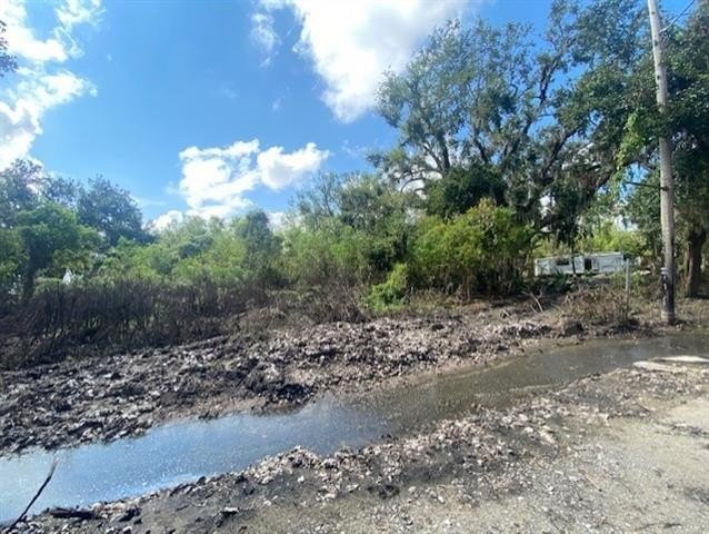 Picture 3