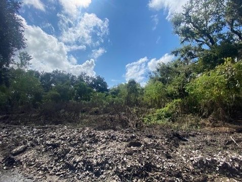 Residential Land in St. Bernard