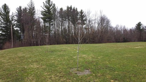 Permitted Land Near Jay Peak