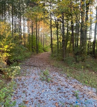LAND - Blountsville, AL