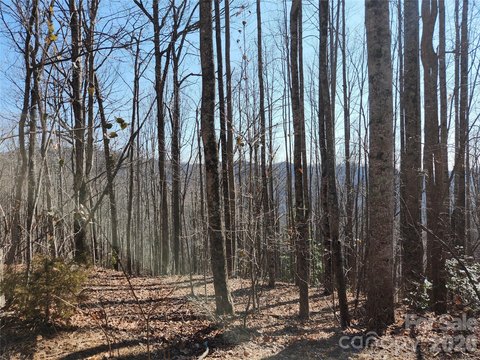 Two Acre Lot in Gateway