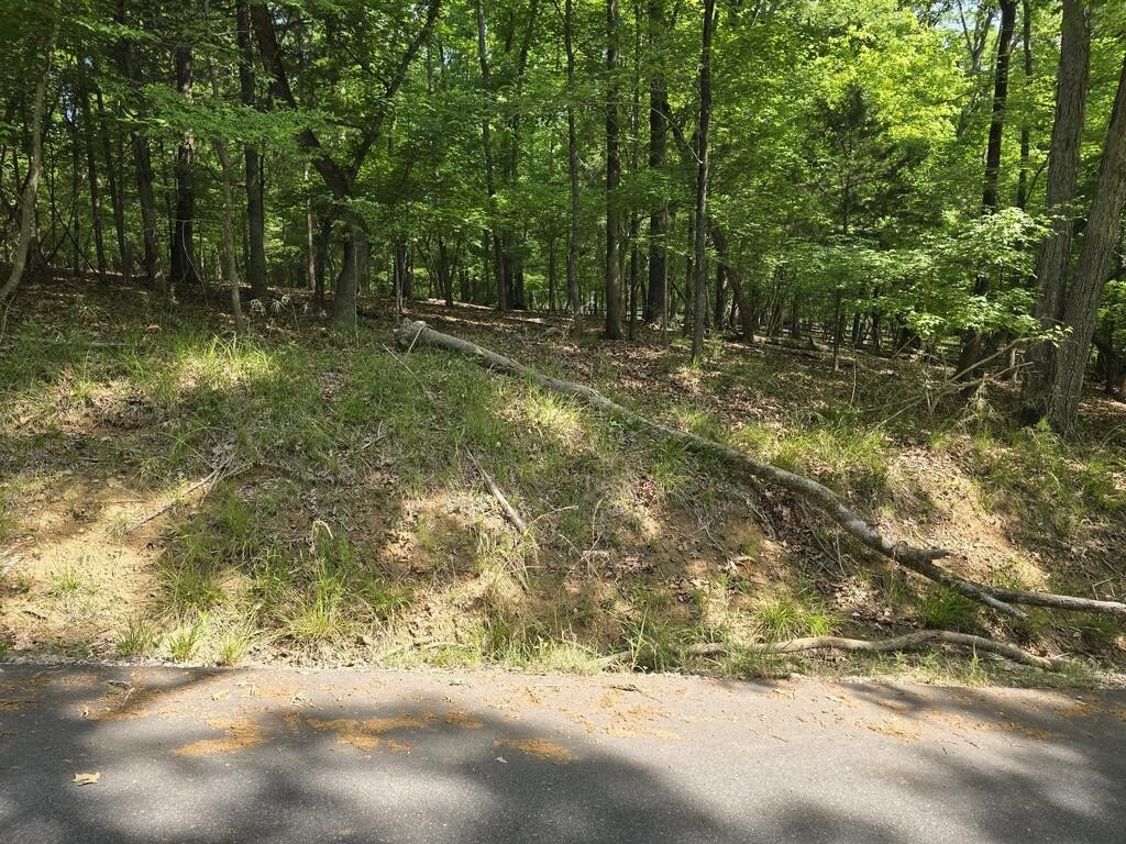 Picture 3