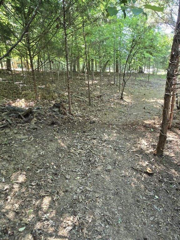 Picture 5