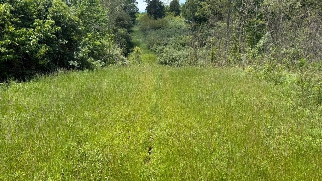 Picture 12
