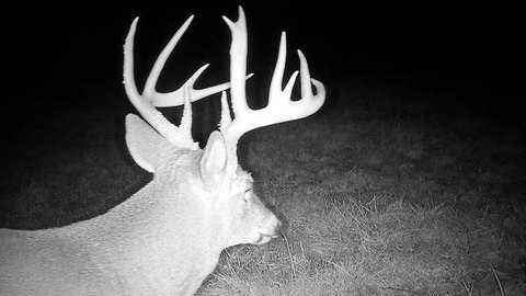 Hunting and Recreational Land Tract