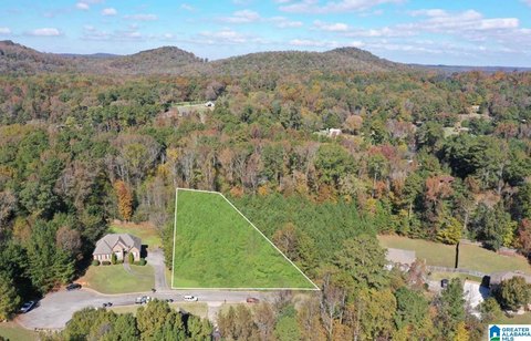 LAND - PINSON, AL