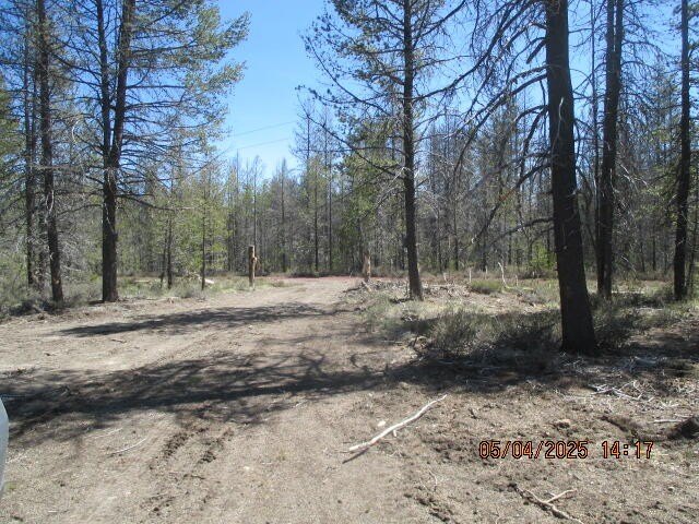 Picture 6