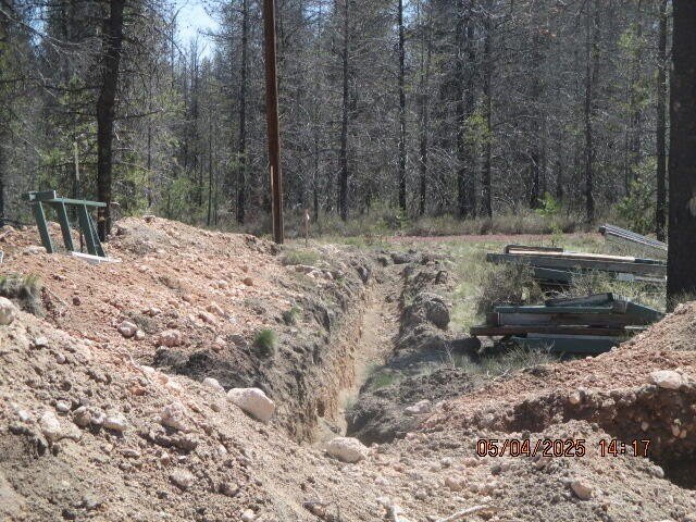 Picture 4