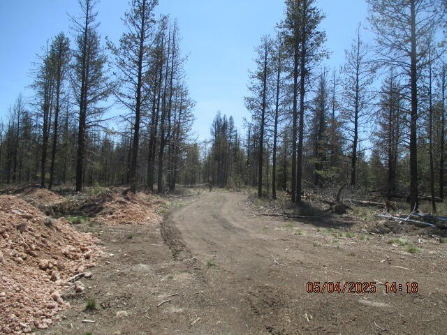 Picture 5