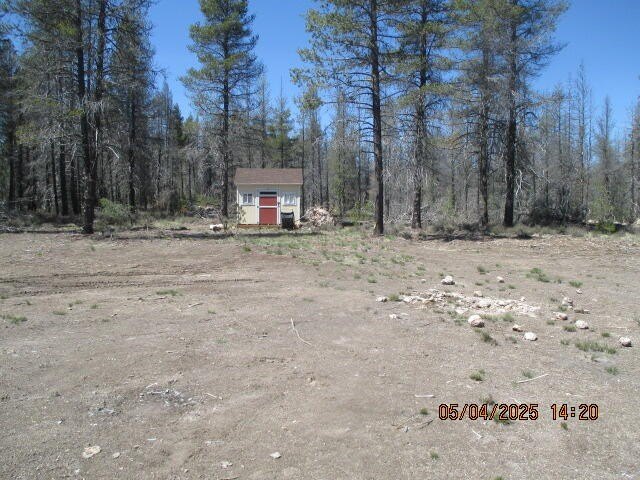 Picture 7