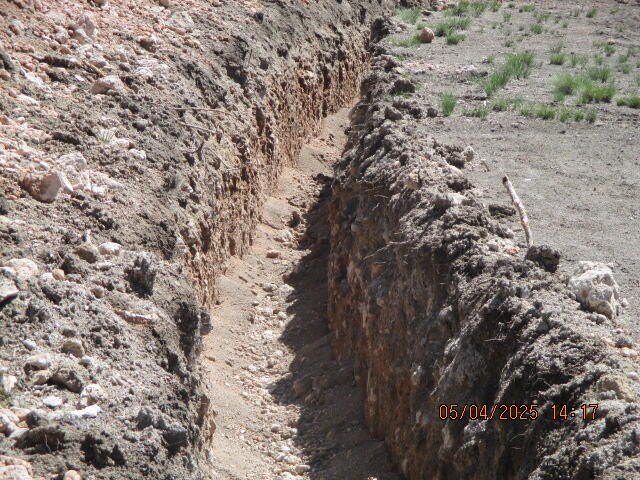 Picture 3