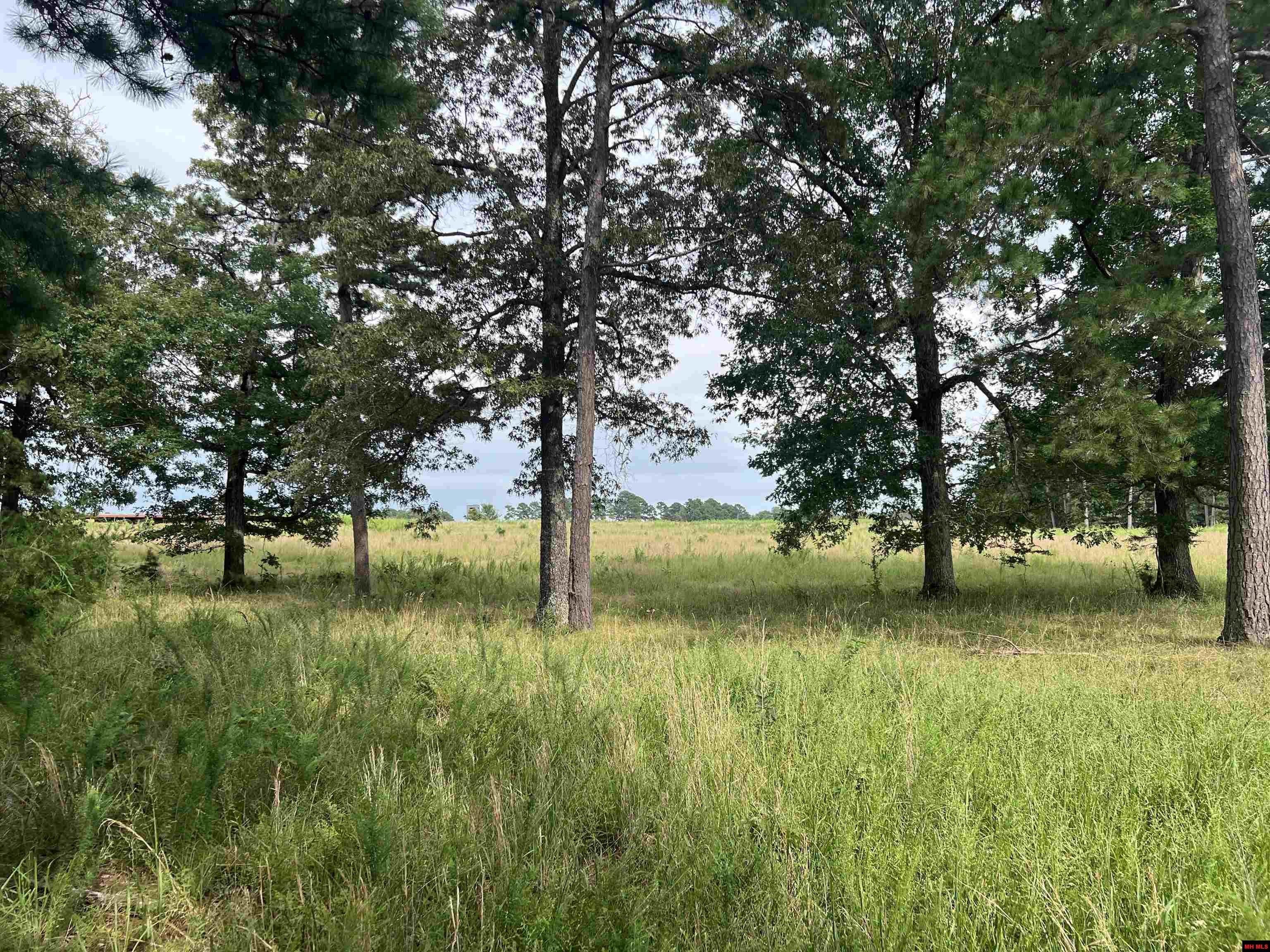 Arkansas Ozarks Ranch Land