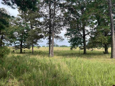 Arkansas Ozarks Ranch Land