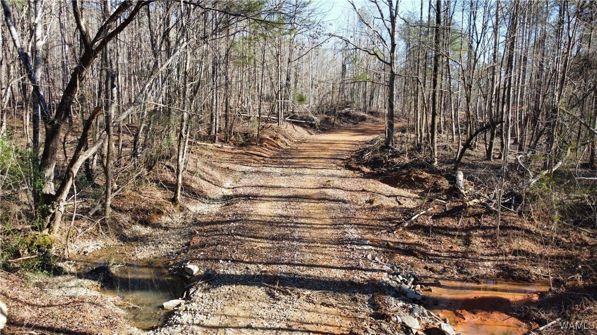 Recreational Land and Timber Investment