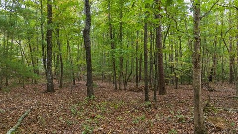 Unrestricted Land in Dawsonville, GA