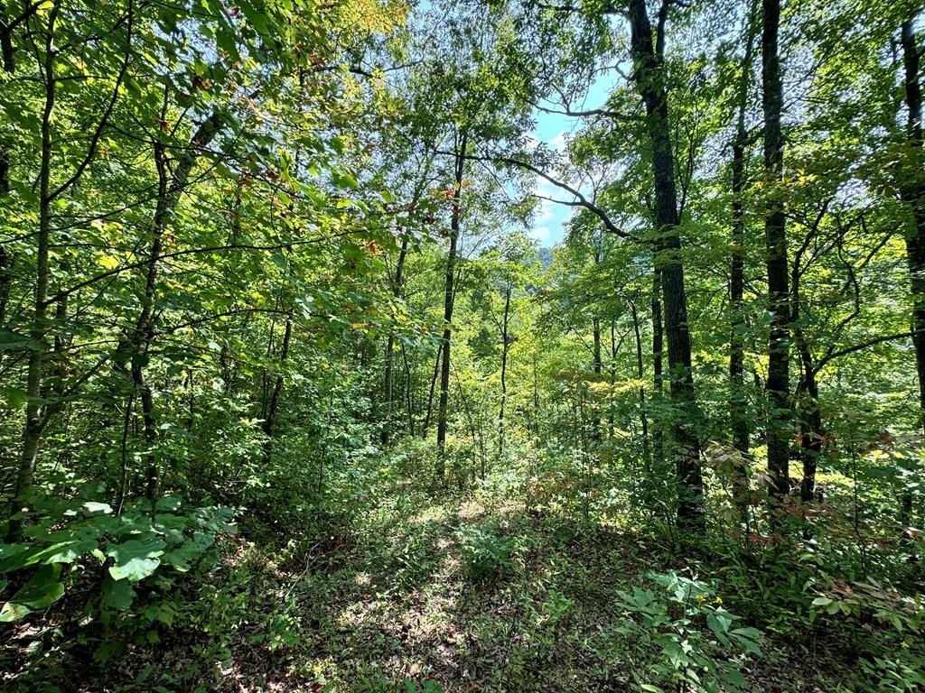 Picturesque Lot in Bryson City