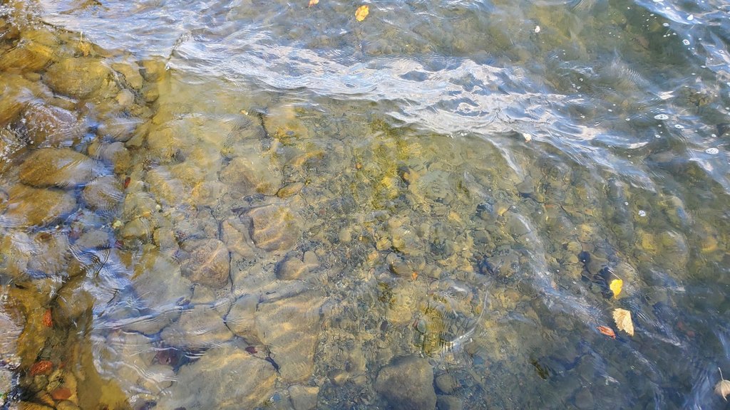 Picture 8