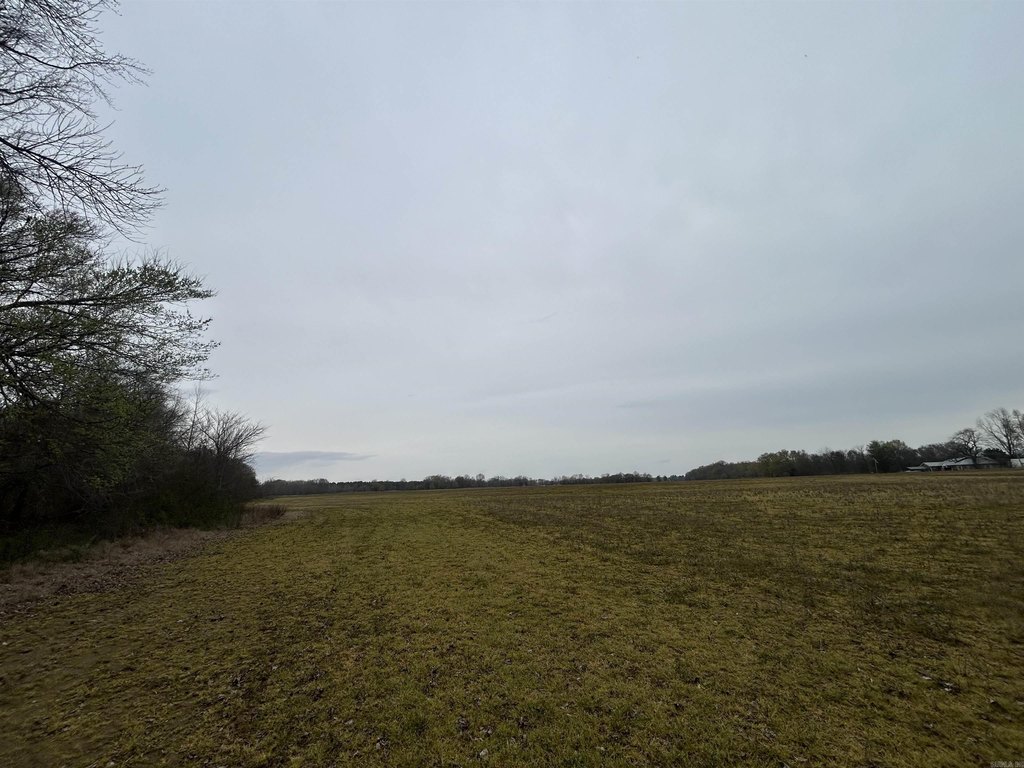 Picture 9