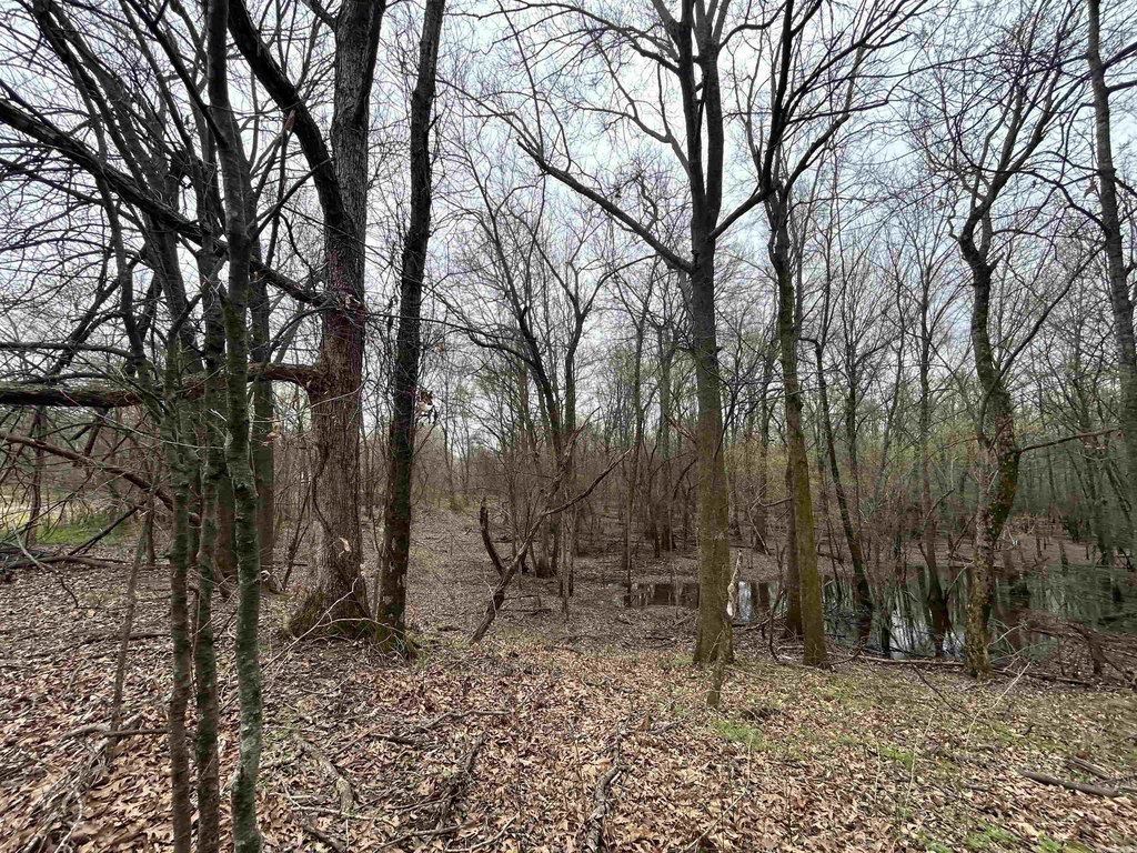 Picture 25