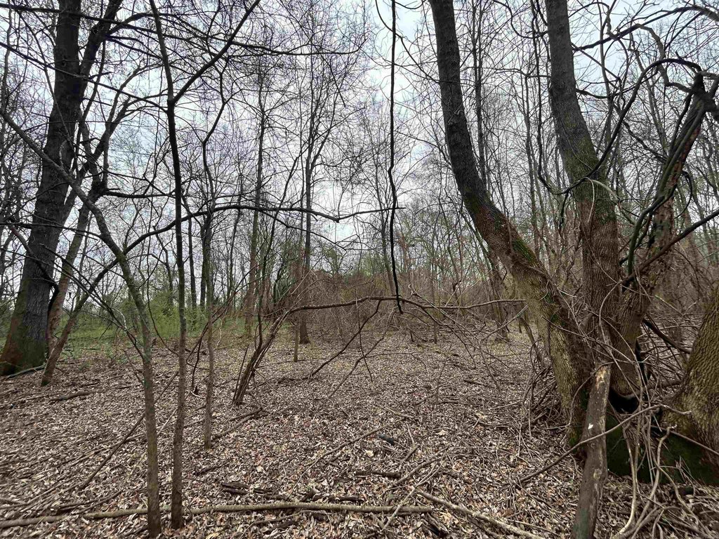 Picture 23