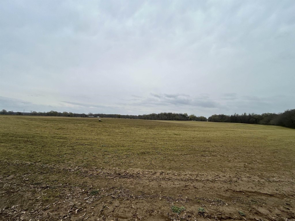 Picture 15