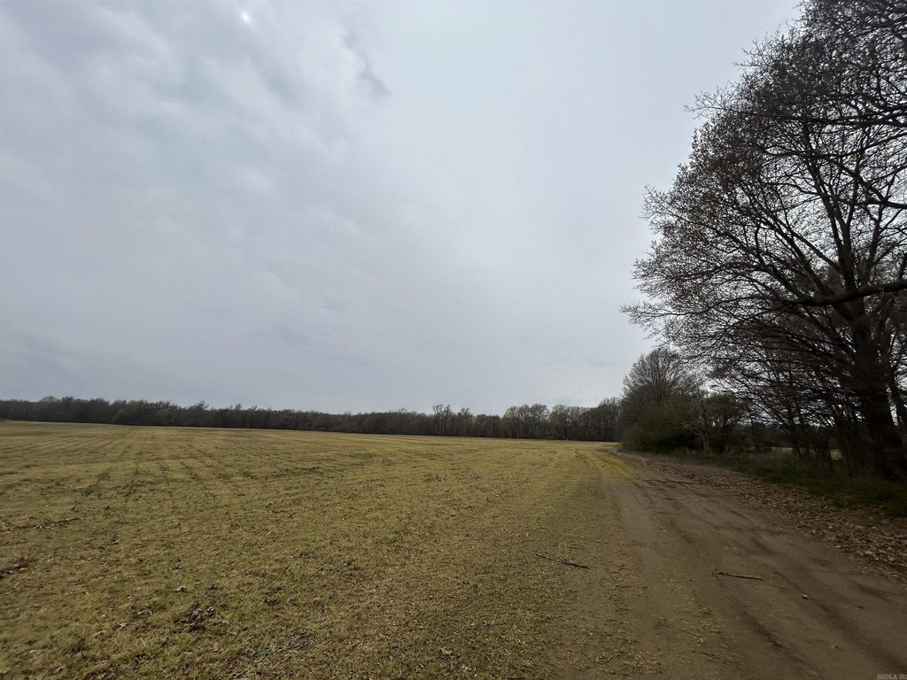 Picture 12