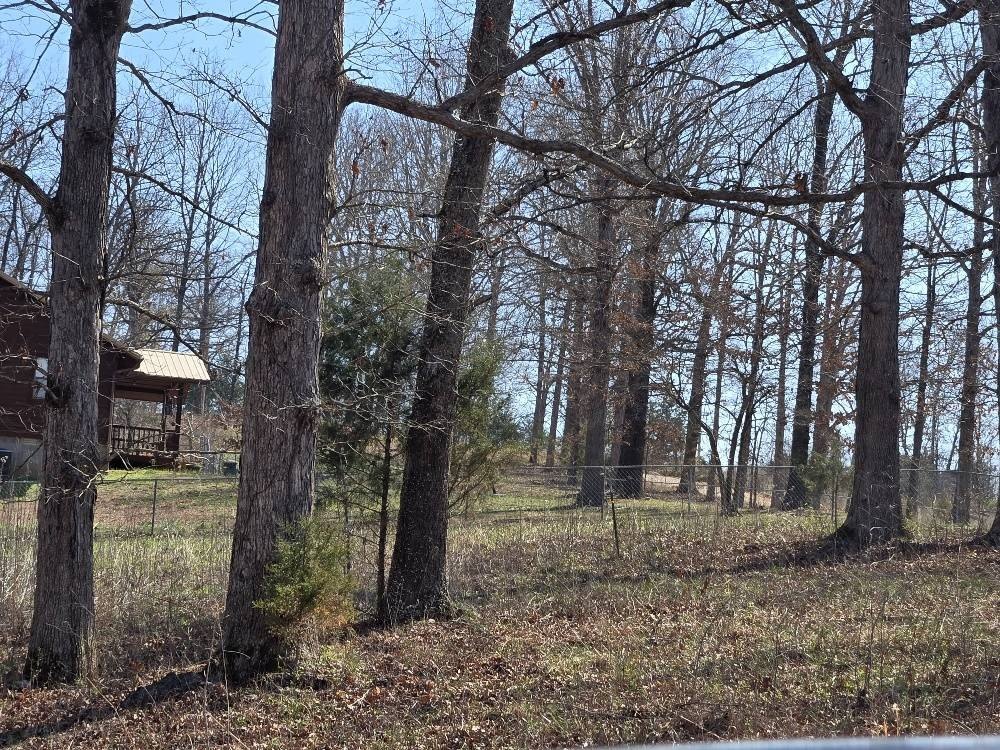 Picture 6