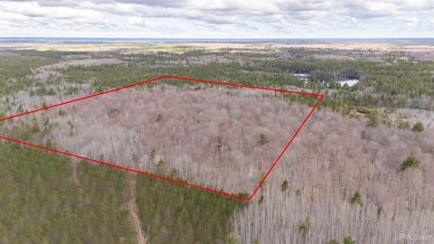 Remote Wooded Parcel Near Trails