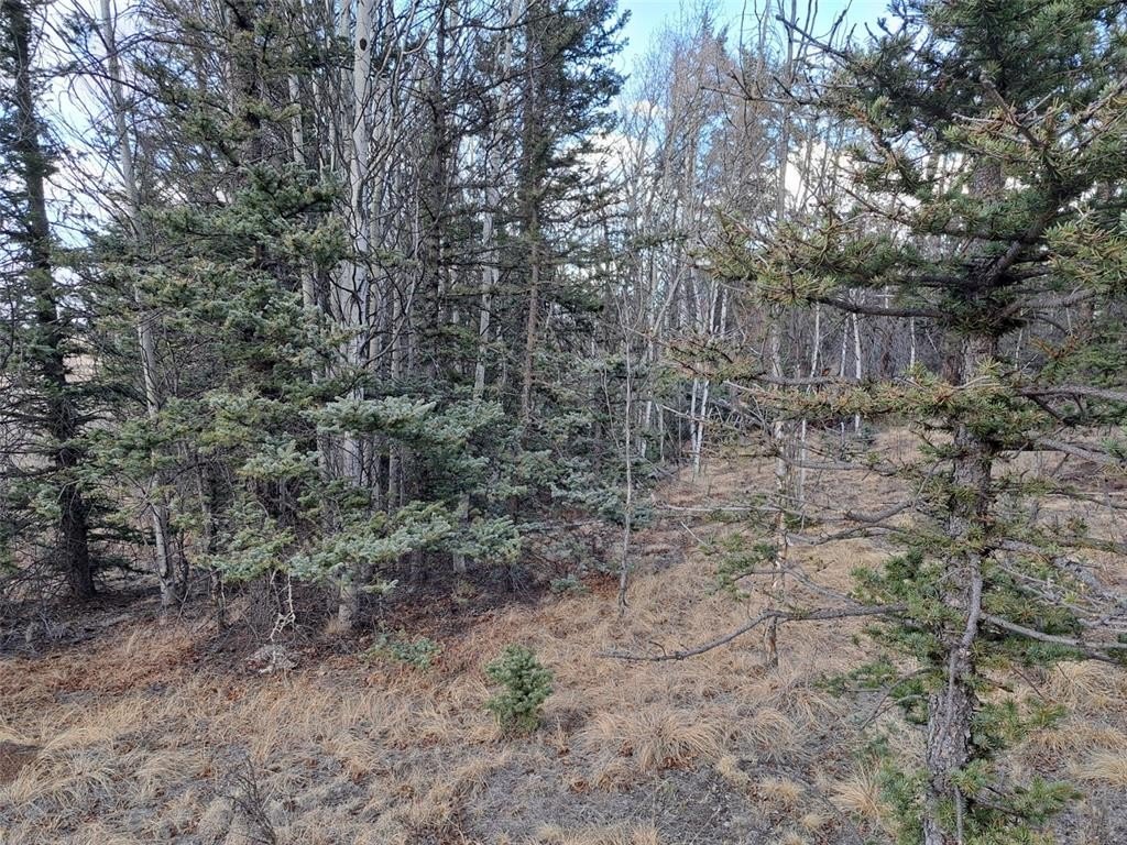 Picture 15